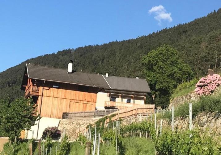Maso Fallmerayer - Fallmerayerhof Bressanone Exterior foto