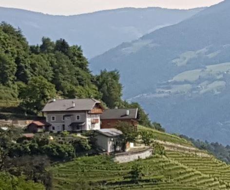 Maso Fallmerayer - Fallmerayerhof Bressanone Exterior foto